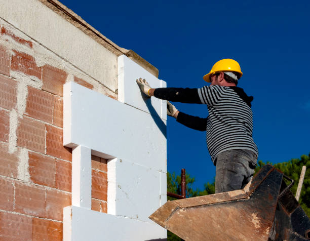 Best Eco-Friendly Insulation in Roy, UT