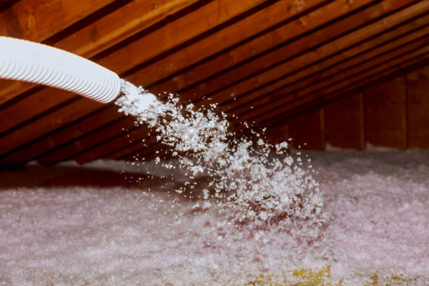 Best Spray Foam Insulation in Roy, UT