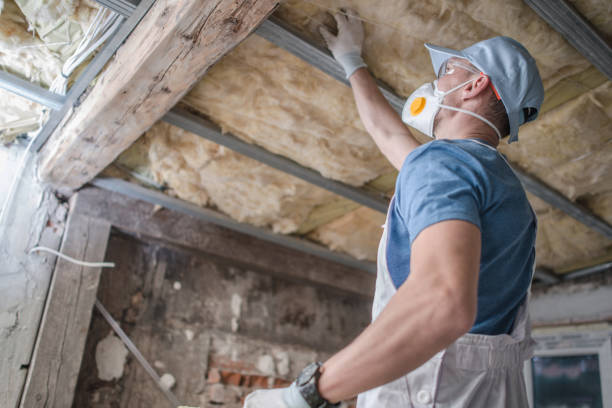 Best Geographic-Specific Insulation Services in Roy, UT